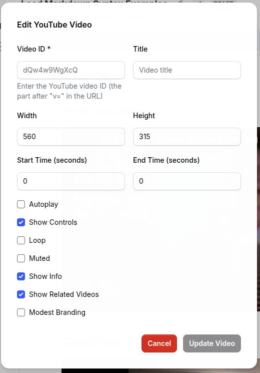 The Insert YouTube Video dialog scrolled to show every field including the checkbox group