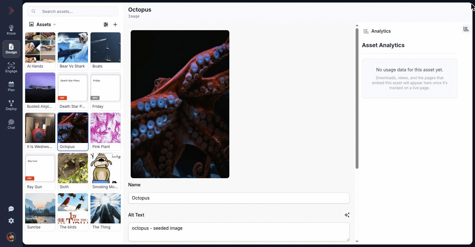 The asset canvas for the image Sunrise, with the preview, the Name and Alt Text fields, the Marketing approved checkbox, and the right rail on its Analytics tab
