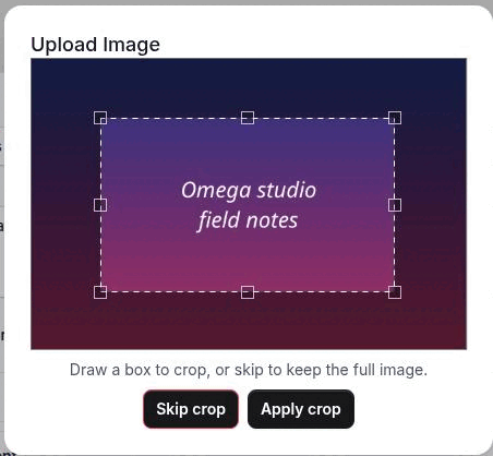The crop step of the Upload Image dialog, with a partial selection rectangle drawn over the image and the Skip crop and Apply crop buttons beneath it